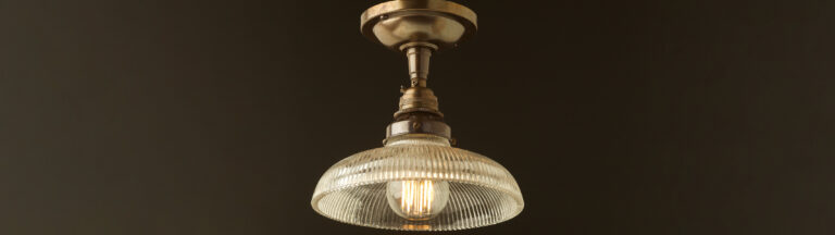 Flush mount ceiling lights